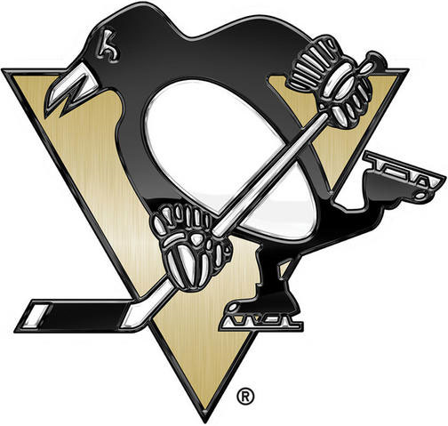 Pittsburgh Penguins 2014 Special Event Logo iron on heat transfer